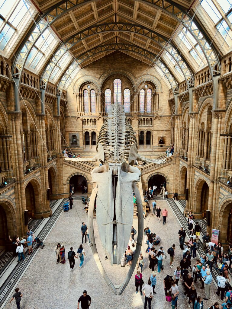 Natural History Museum, London