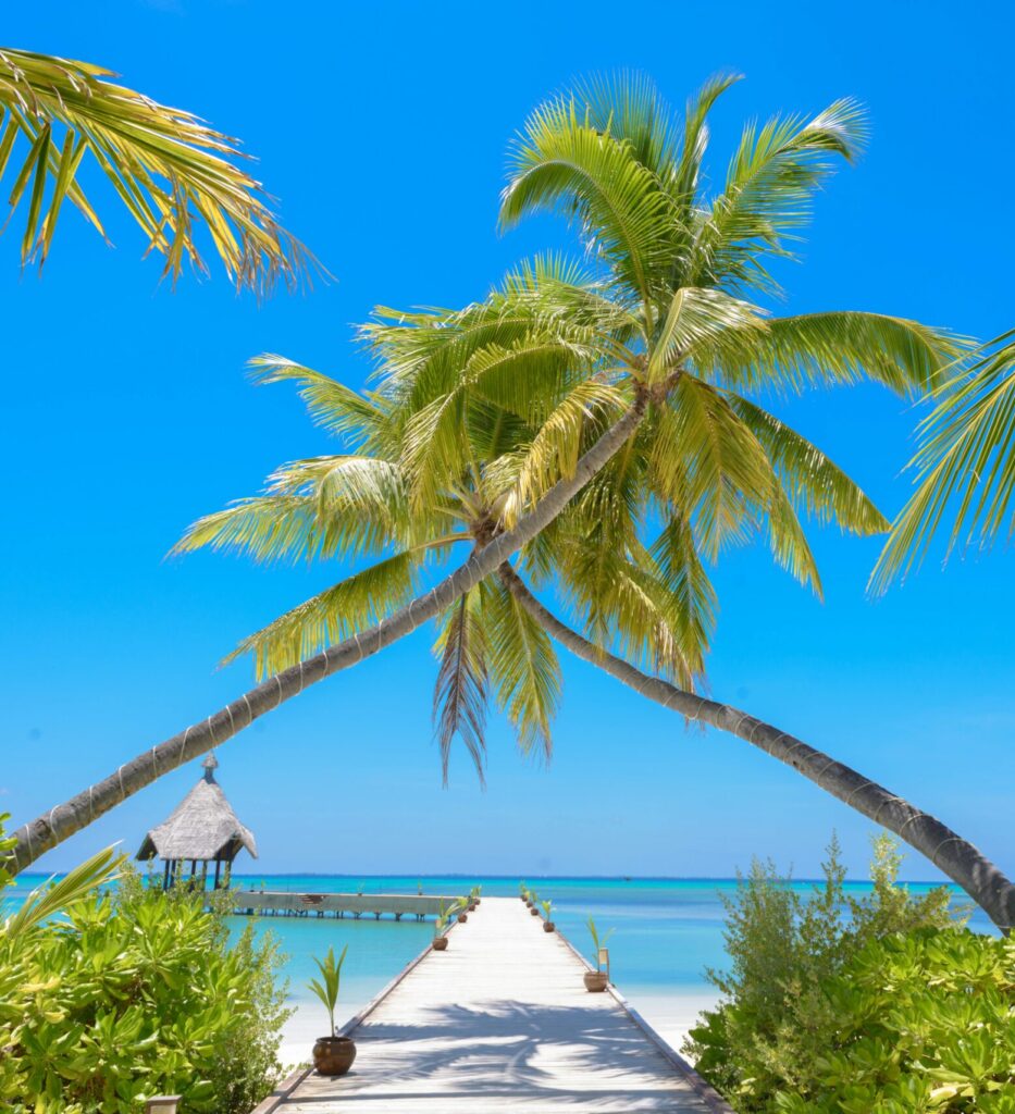 maldives palms resort