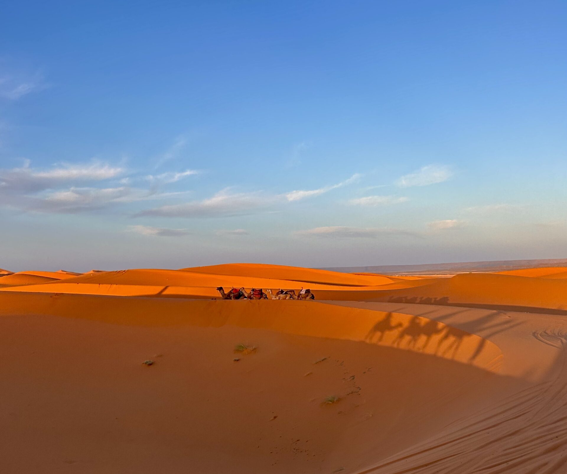 Things to Do in Morocco: Best Things to Do & Places to Visit in Morocco