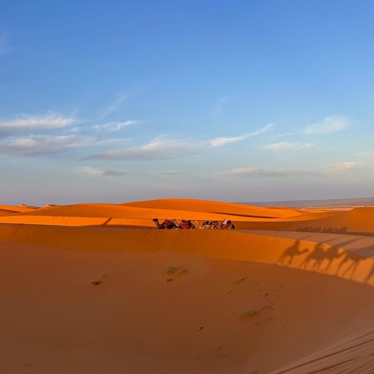 Merzouga, Sahara Desert